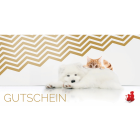 Anifit 10 EUR Gutschein (1 Piece)